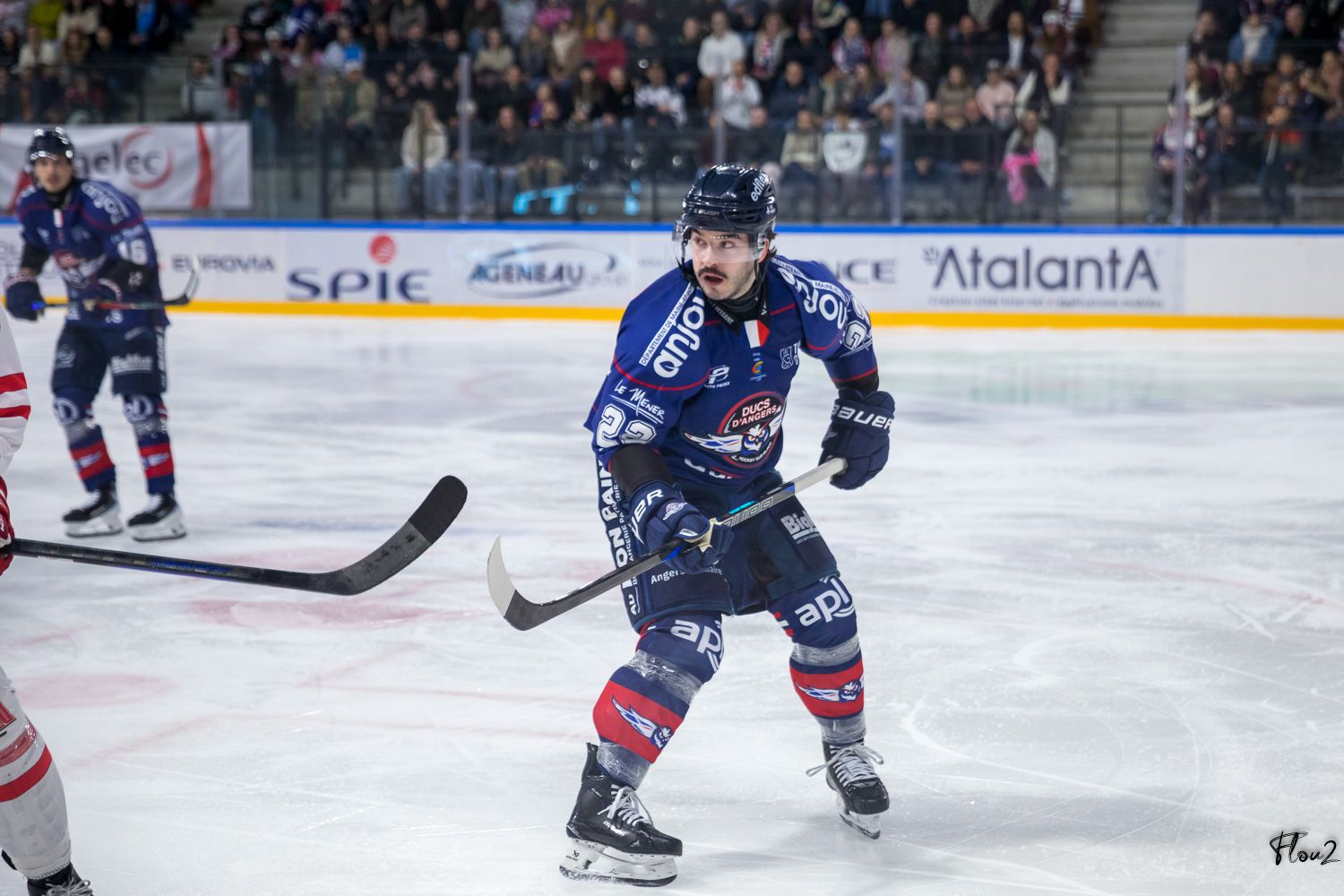 Ligue Magnus (J16) : Encore battus face à l’Anglet Hormadi, les Ducs d’Angers n’y arrivent plus