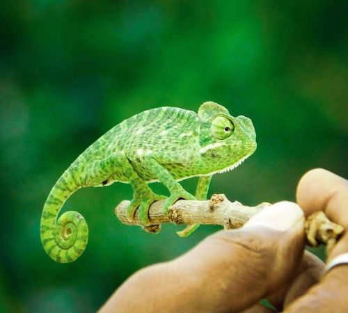 Traveled: Lessons from Taking Risks