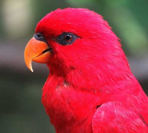 My Experience with Anxiety and Depression