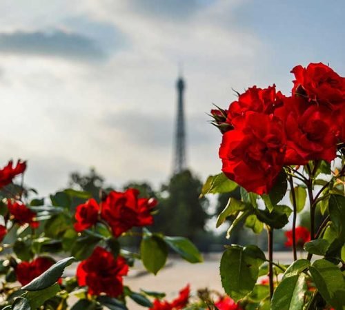 Travel: Exploring the World on My Own