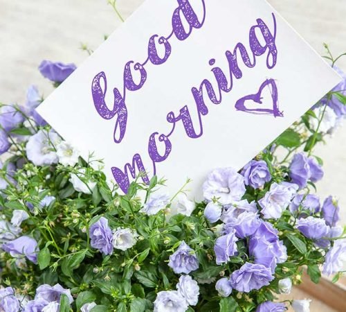 Perspective: Seeing Life Through New Eyes