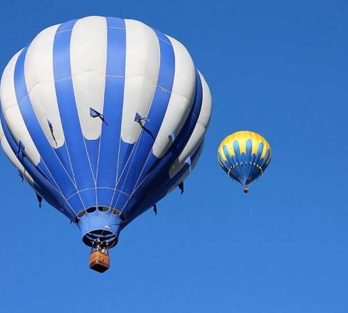 World: Musings on Society, Politics, and Culture