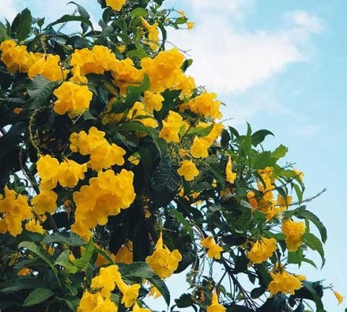 Breaking Free from Conventional Wisdom