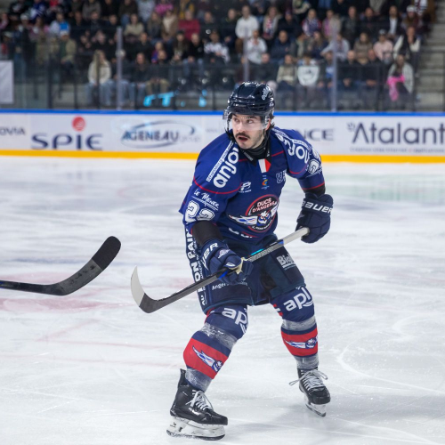 Ligue Magnus (J16) : Encore battus face à l’Anglet Hormadi, les Ducs d’Angers n’y arrivent plus